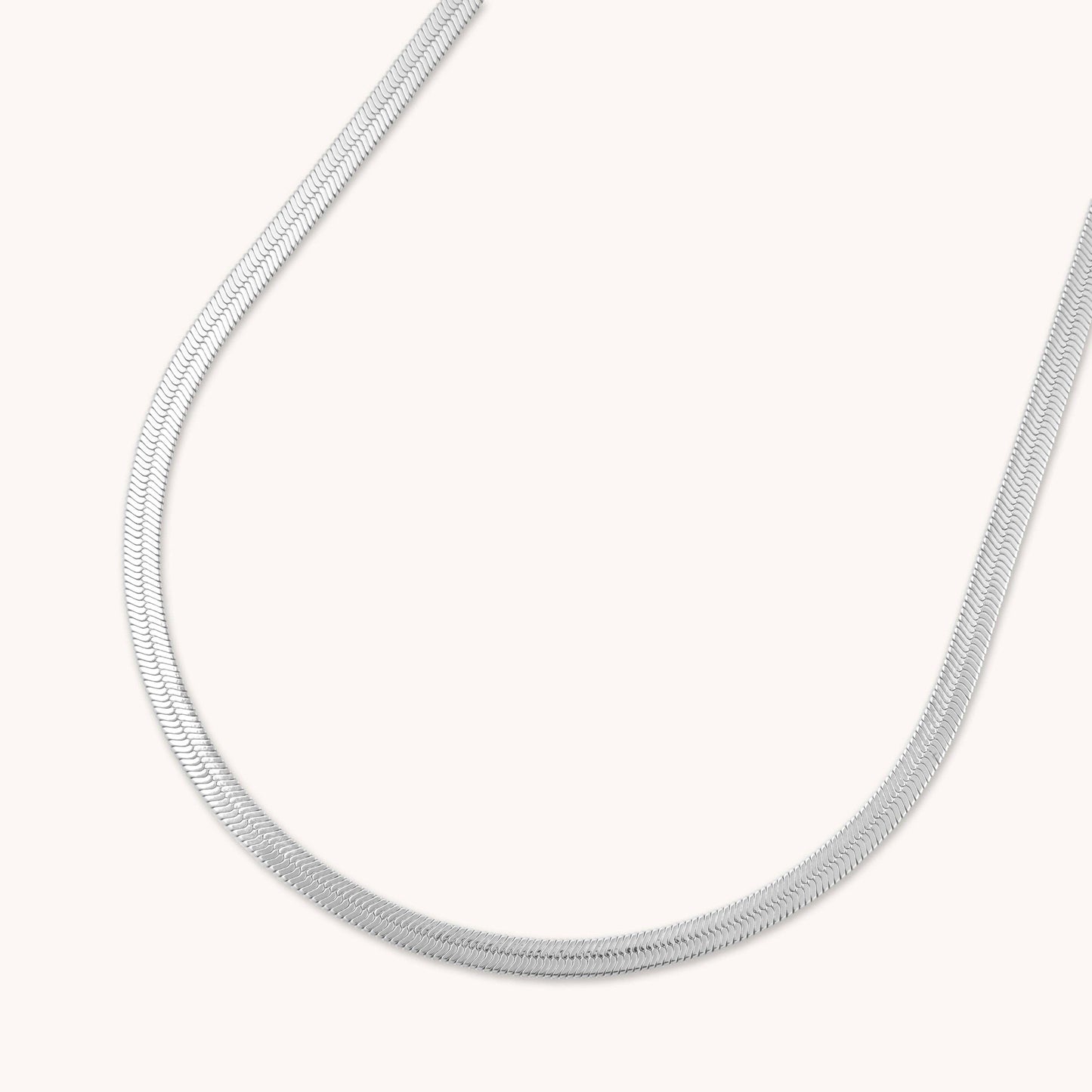 D. Louise - Essentials Snake Chain Necklace: Gold